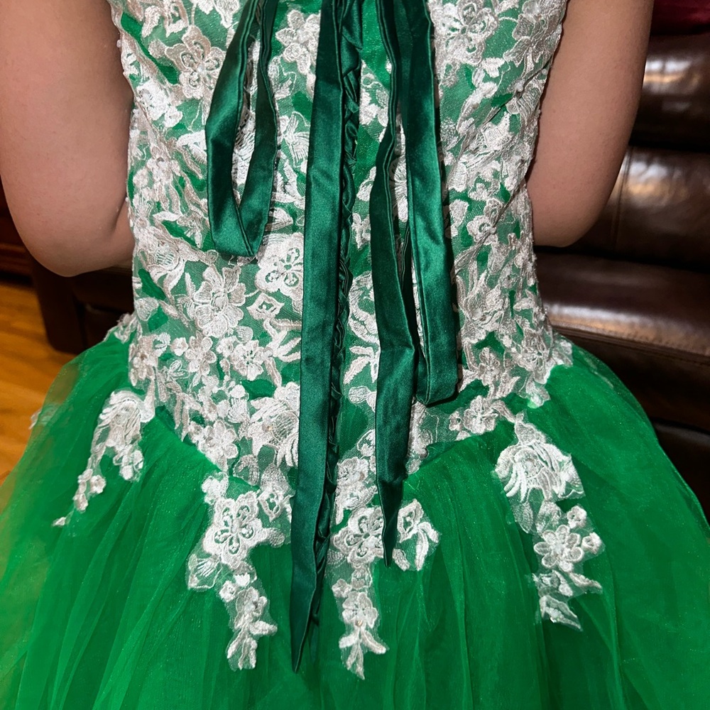 Big Green Gown ( If Interested And You Want More … - image 3